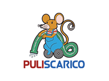 Logo Puliscarico